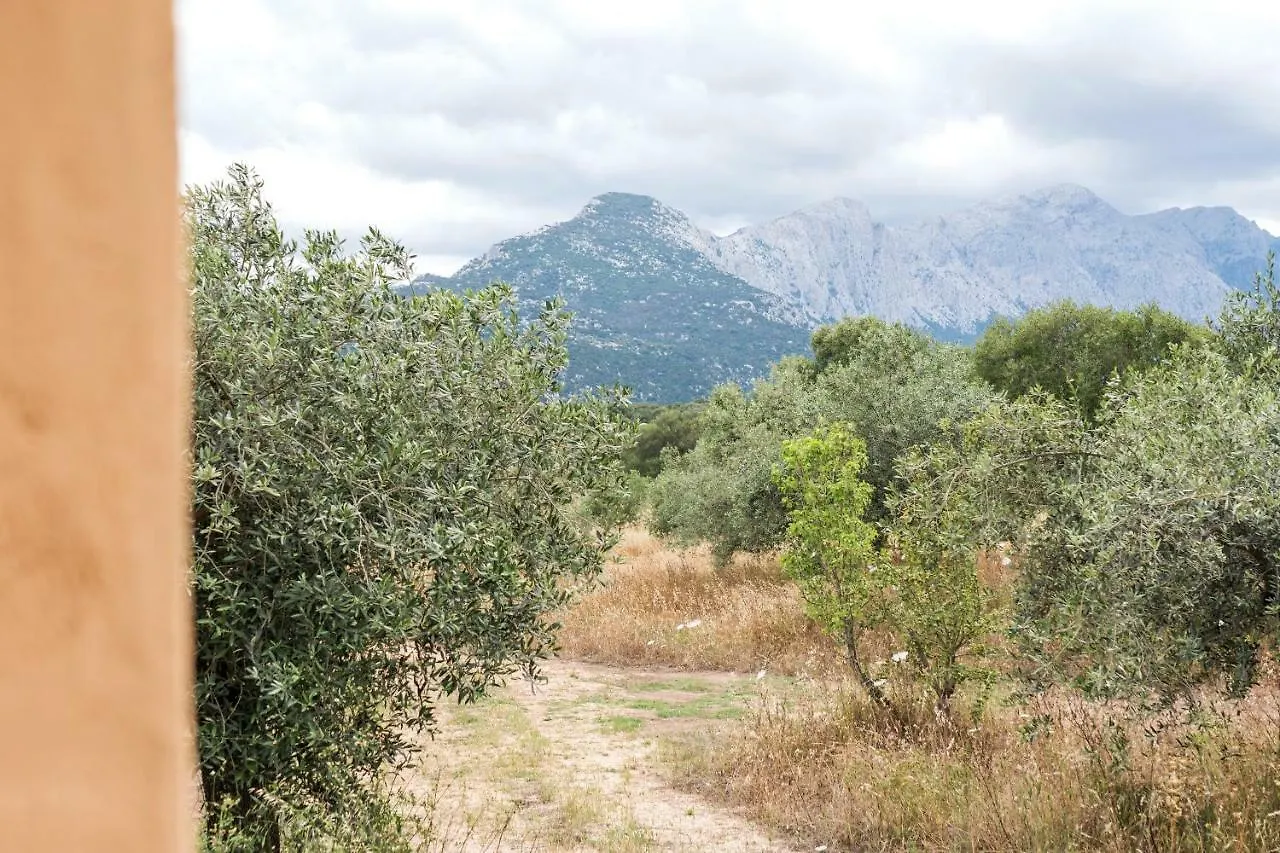Country house S'Ulumu Guest House Dorgali Italy