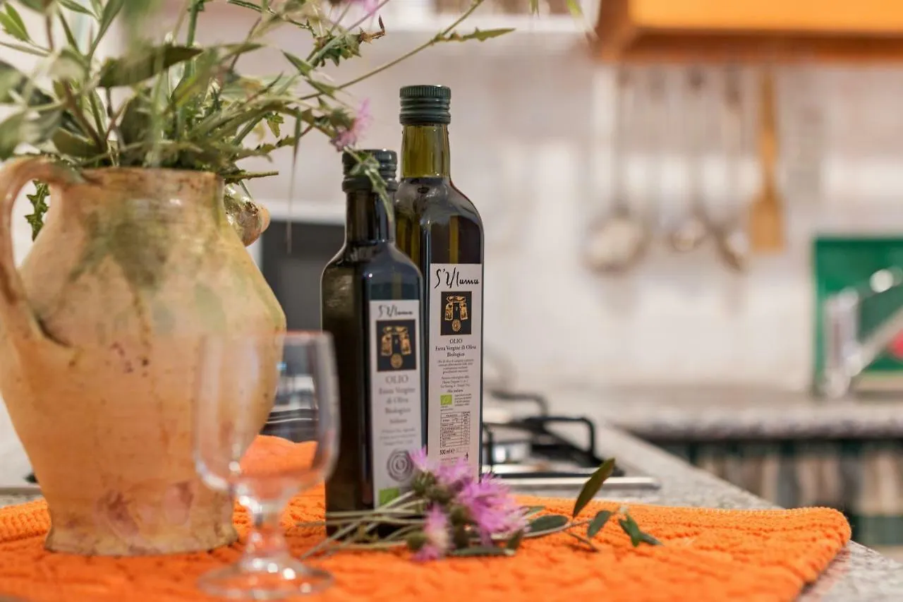Country house S'Ulumu Guest House Dorgali