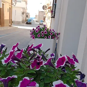https://casa-vacanze-nautilus.palermohotels.org
