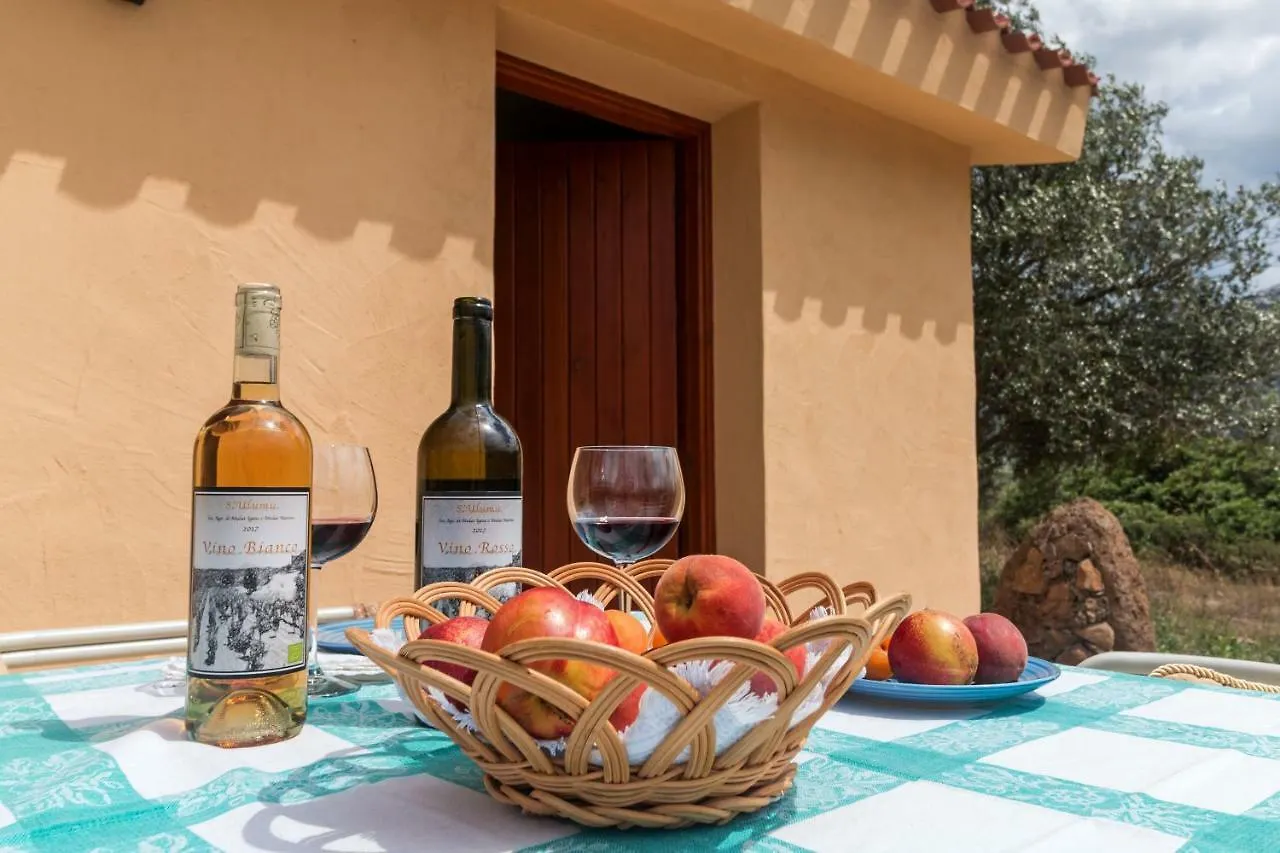 Country house S'Ulumu Guest House Dorgali