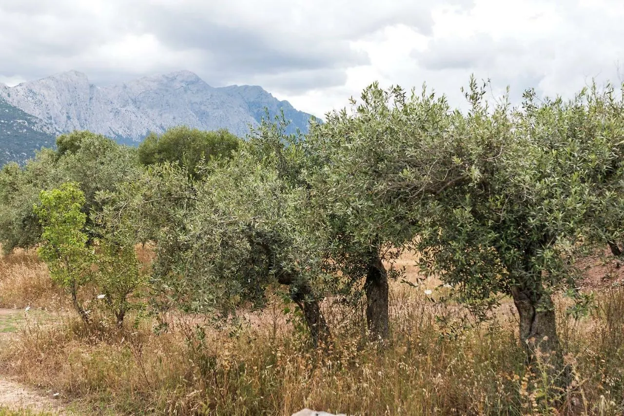 Hostal S'Ulumu Dorgali Casa rural