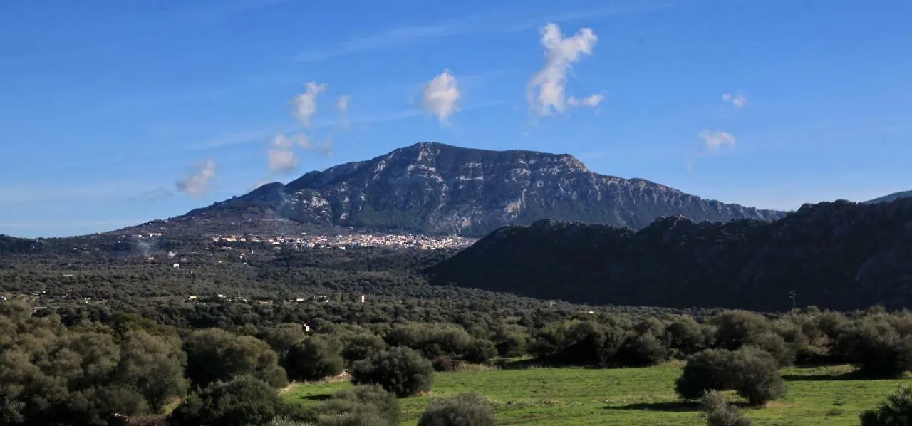 Hostal S'Ulumu Dorgali 0*,
